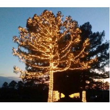 Светодиодная гирлянда на деревья, спайдер, Клип лайт ЛУЧ 2, 2х25, 50м, 500 LED, 24B, теплый белый