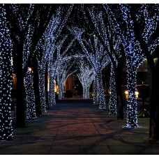 Светодиодная гирлянда на деревья, спайдер, Клип лайт ЛУЧ 2, 2х25, 50м, 500 LED, 24B, холодный белый