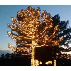 Светодиодная гирлянда на деревья, спайдер, Клип лайт ЛУЧ 2, 2х25, 50м, 500 LED, 24B, теплый белый, мерцание